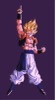 SS Gogeta