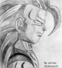 SS3 Goku drawn by me