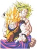 SS Goku and Brolli