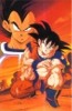 Goku and Vegeta